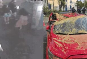 Mulher se desespera ao ver família atingida por árvore
