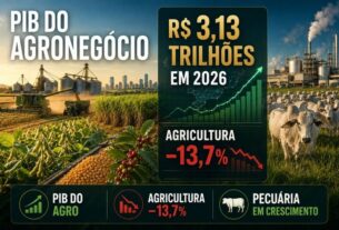 PIB do agronegócio pode atingir R$ 3,13 trilhões em 2026, mas agricultura deve recuar 13,7%