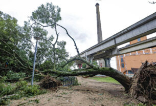 Porto Alegre entra em alerta laranja com previsão de ventos de até 100 km/h