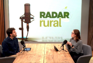 Radar Rural analisa impacto de tarifas dos EUA e perspectivas para a safra de soja