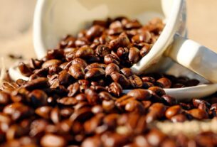 Safra brasileira de café atinge 84% de colheita em ritmo ainda abaixo da média histórica