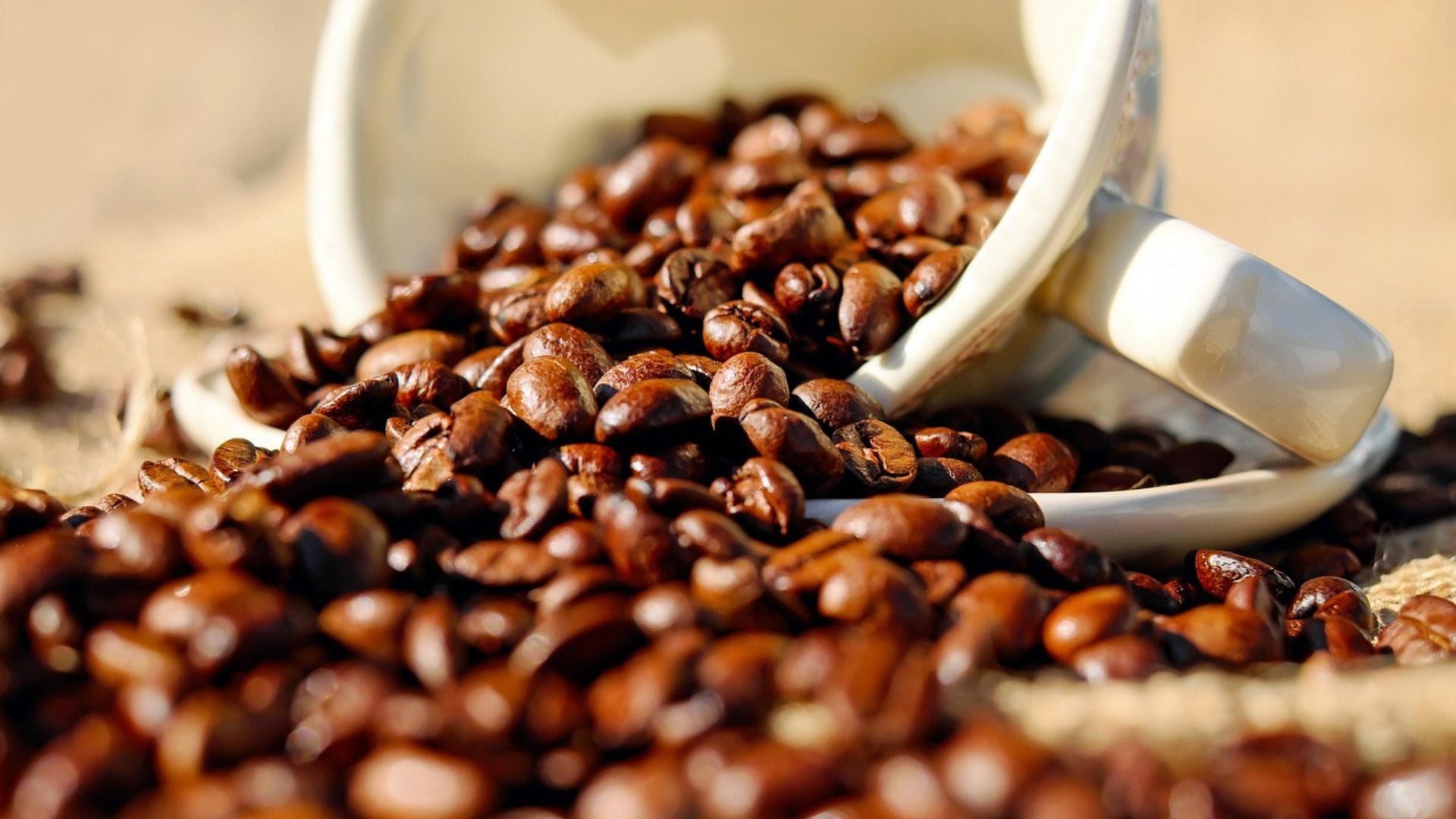 Safra brasileira de café atinge 84% de colheita em ritmo ainda abaixo da média histórica
