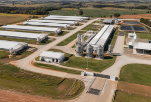 Seara atinge marca de R$ 4 bilhões em aportes na plataforma Superagro