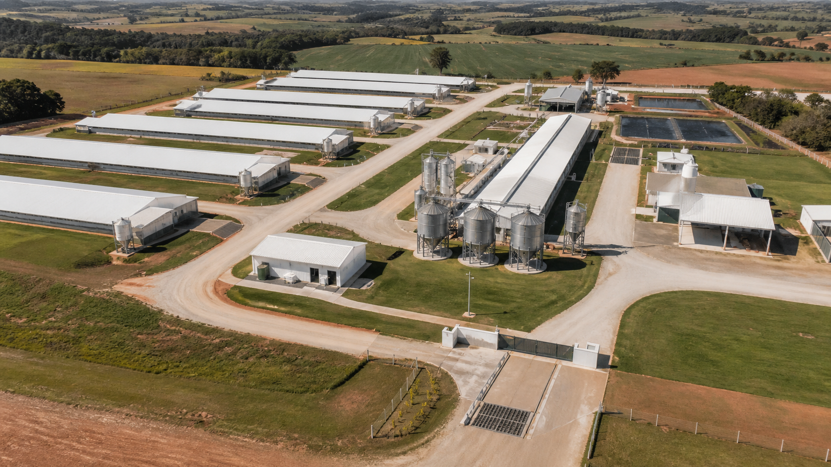 Seara atinge marca de R$ 4 bilhões em aportes na plataforma Superagro