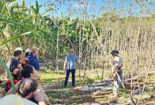 Tecnologia social da Embrapa ganha certificação e fortalece a agricultura familiar no Brasil