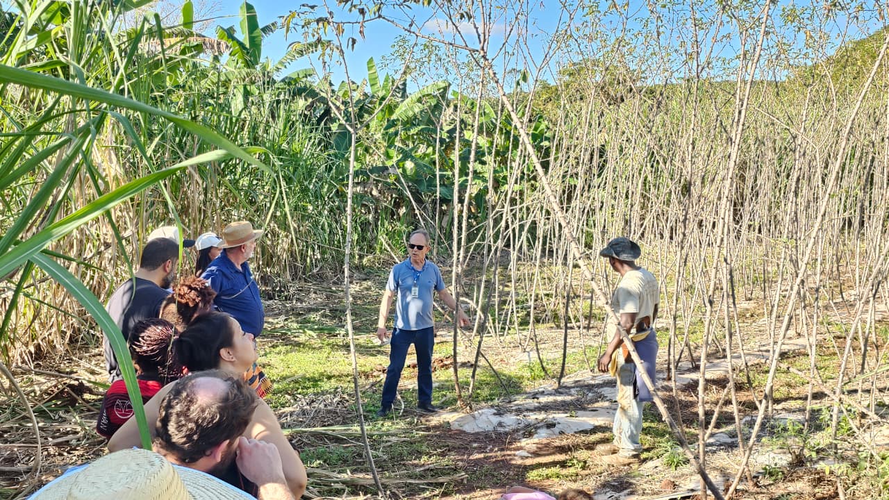 Tecnologia social da Embrapa ganha certificação e fortalece a agricultura familiar no Brasil