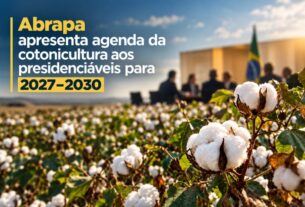 Abrapa entrega propostas para o futuro do algodão aos candidatos à presidência até 2030