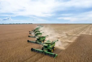 Ação da SLC Agrícola pode subir 36,5% com fim de ciclo de crise no setor, projeta JP Morgan