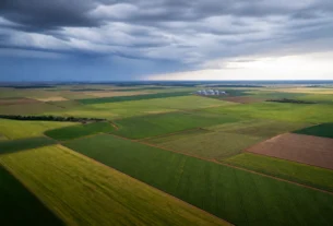 Agricultura empresarial acessa R$ 65,7 bilhões em crédito rural para a safra 2026/2027