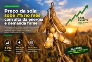 Alta de 7% no preço da soja impulsionada por energia e demanda global