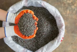 Alta nos preços de fertilizantes eleva risco de inadimplência no crédito rural