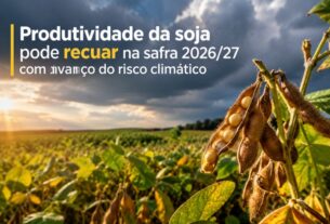 Ameaça climática do El Niño coloca em risco a produtividade da soja na safra 2026/27