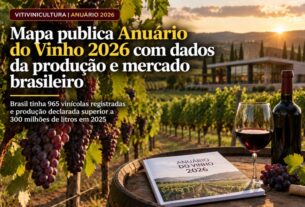 Anuário do Vinho 2026 destaca crescimento e desafios do setor no Brasil