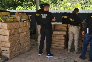 Apreensão histórica: 2,46 toneladas de maconha são encontradas em carga de repolho