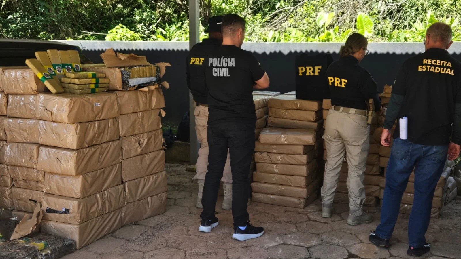 Apreensão histórica: 2,46 toneladas de maconha são encontradas em carga de repolho