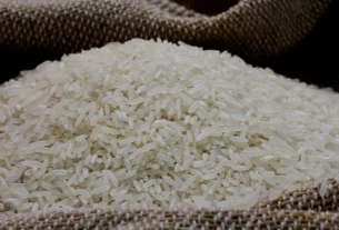 Aumento da disputa pelo arroz faz preço da saca se aproximar de R$ 90 no Rio Grande do Sul