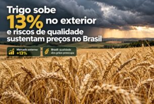 Aumento de 13% no preço do trigo no exterior e riscos de qualidade impactam o Brasil