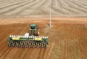 Avanço do plantio da soja 2026/27 no Brasil chega a 0,4%, segundo consultoria