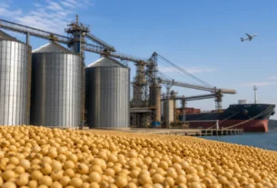 Balança comercial brasileira mantém ritmo e registra superávit de US$ 984,2 milhões