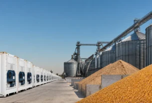 Banco do Brasil prevê aquecimento na demanda por proteína animal no fim do ano