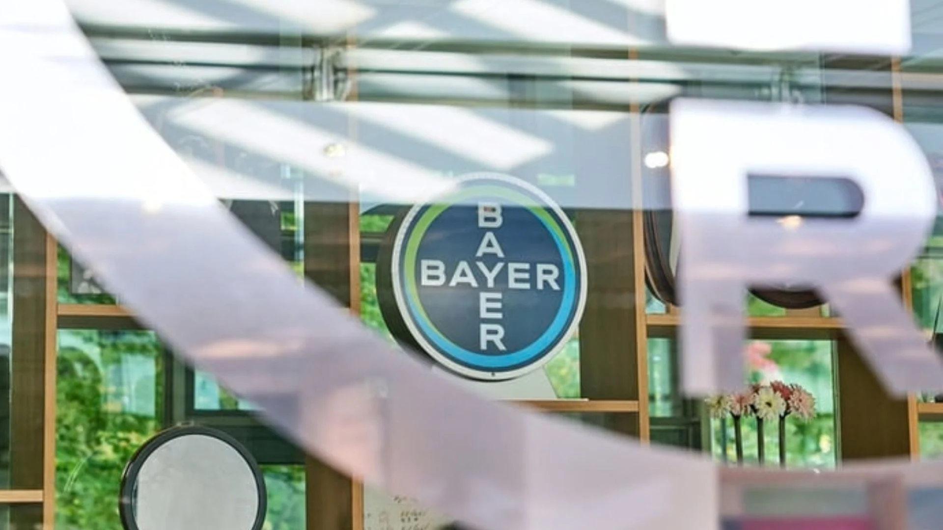 Bayer abre seleção para programa de trainee com remuneração de R$ 18,9 mil