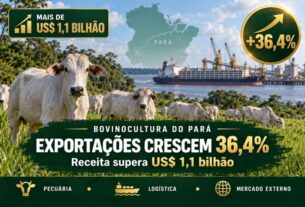 Bovinocultura do Pará registra salto de 36,4% nas exportações e supera US$ 1,1 bilhão