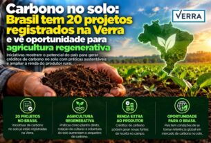 Brasil avança com 20 projetos de carbono no solo na Verra e aposta na agricultura regenerativa