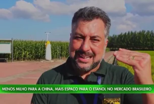 Brasil busca novos horizontes para o milho diante do crescimento da produção na China