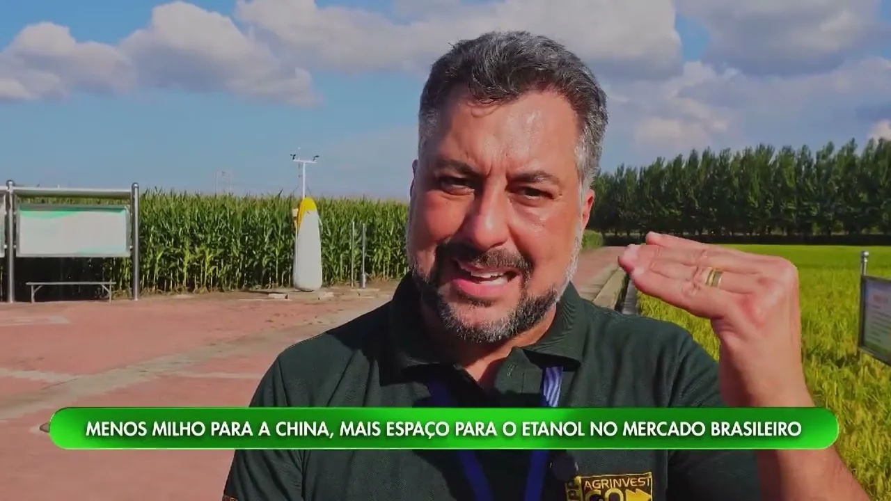 Brasil busca novos horizontes para o milho diante do crescimento da produção na China