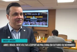 Brasil deve retomar exportações de carne bovina para a China entre outubro e novembro, afirma Abiec
