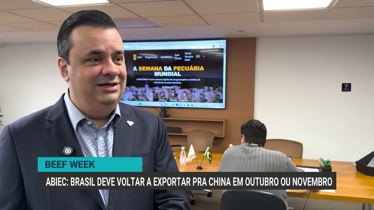 Brasil deve retomar exportações de carne bovina para a China entre outubro e novembro, afirma Abiec