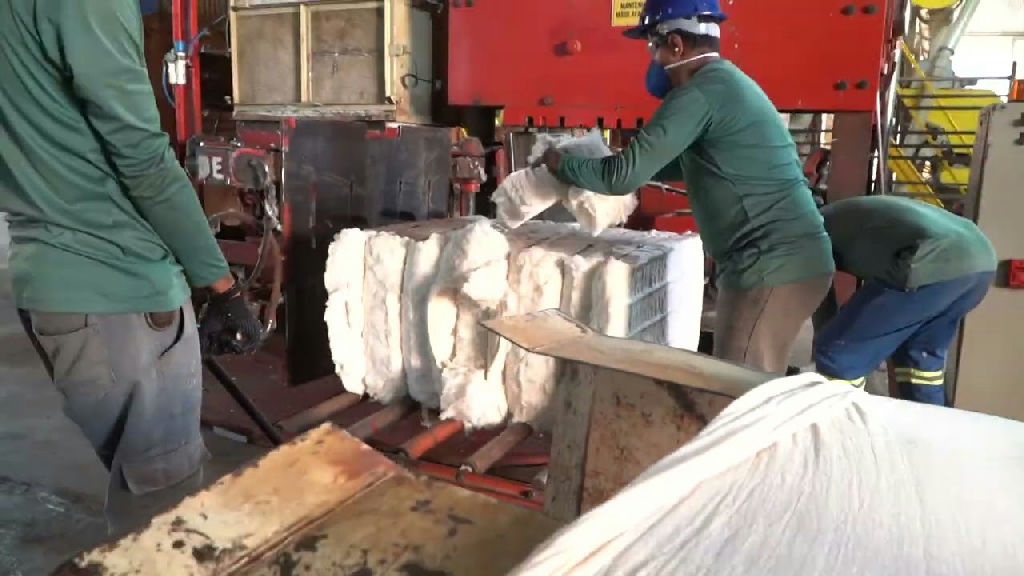 Brasil esgota cota de exportação de carne bovina para a China e enfrenta tarifa de 55%