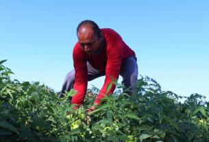 Candidatos são convocados a apoiar a agroecologia em São Paulo