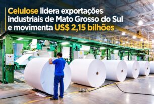Celulose consolida liderança nas exportações industriais de Mato Grosso do Sul