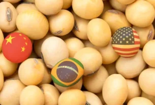 China adia novas compras de soja e acirra disputa comercial entre Brasil e Estados Unidos