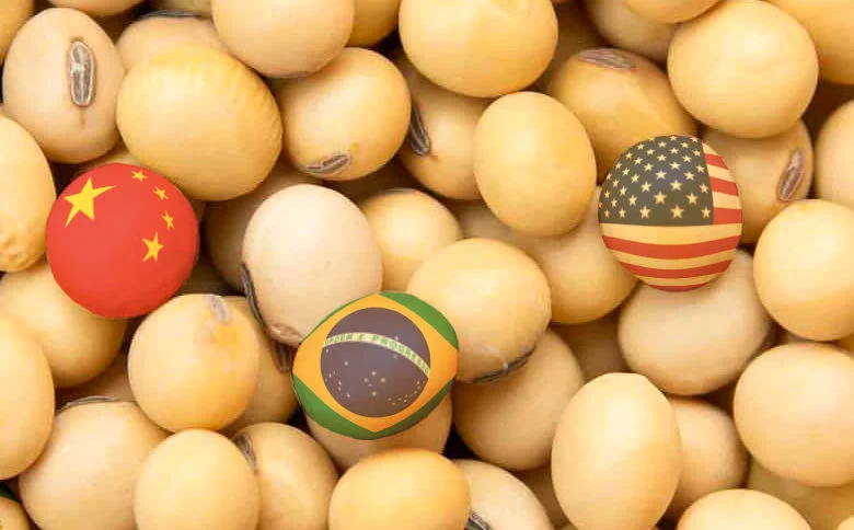China adia novas compras de soja e acirra disputa comercial entre Brasil e Estados Unidos