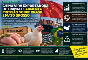 China se torna exportadora de frango e intensifica concorrência com Brasil e Mato Grosso