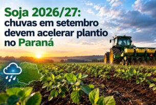 Chuvas em setembro favorecem plantio de soja no Paraná para a safra 2026/27