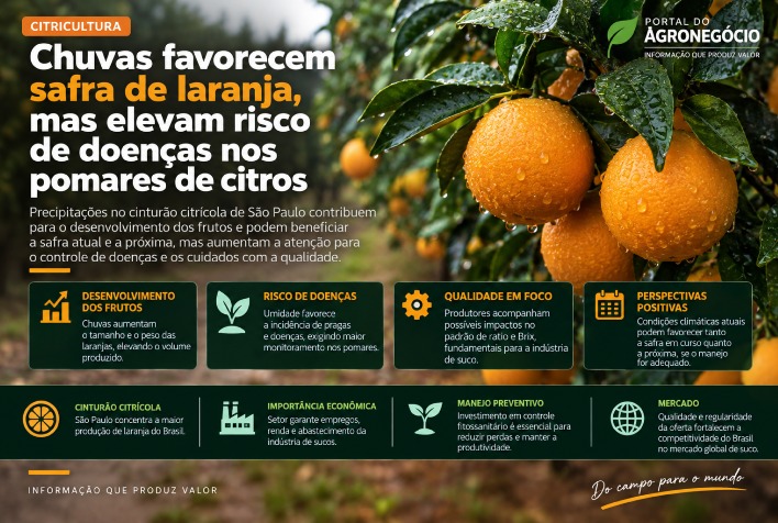 Chuvas impulsionam safra de laranja mas elevam alerta fitossanitário em São Paulo