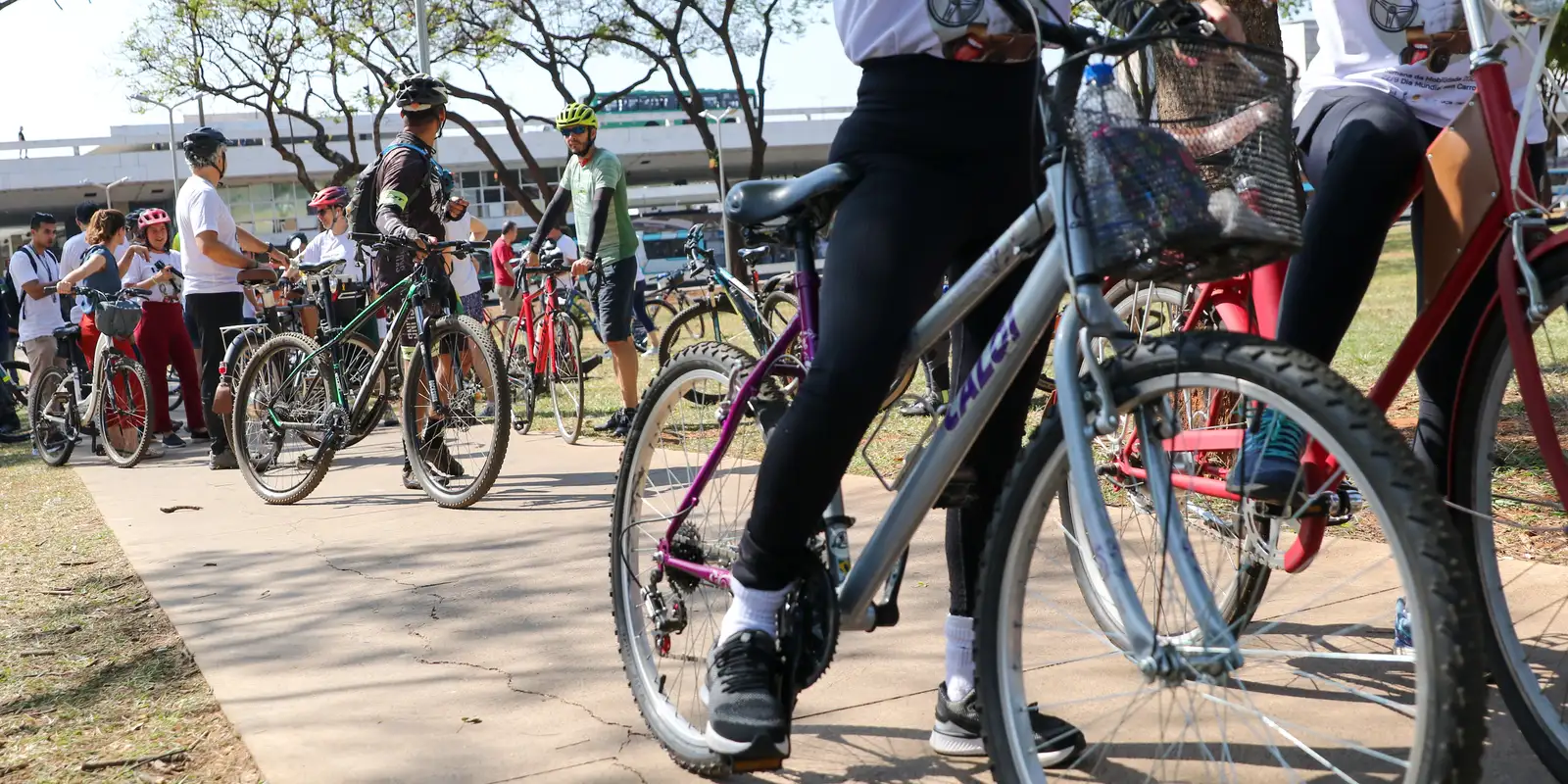 Cinco réus são acusados de homicídio qualificado pela morte de ciclista no Rio de Janeiro