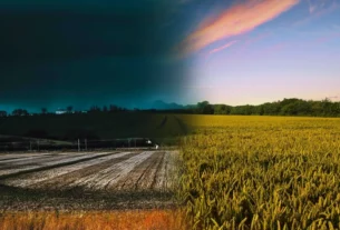 Clima pode atrasar plantio da soja em várias regiões do Brasil; veja quais estados estão em alerta