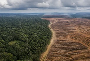 Colapso da máquina de chuva na Amazônia ameaça o equilíbrio climático da América do Sul