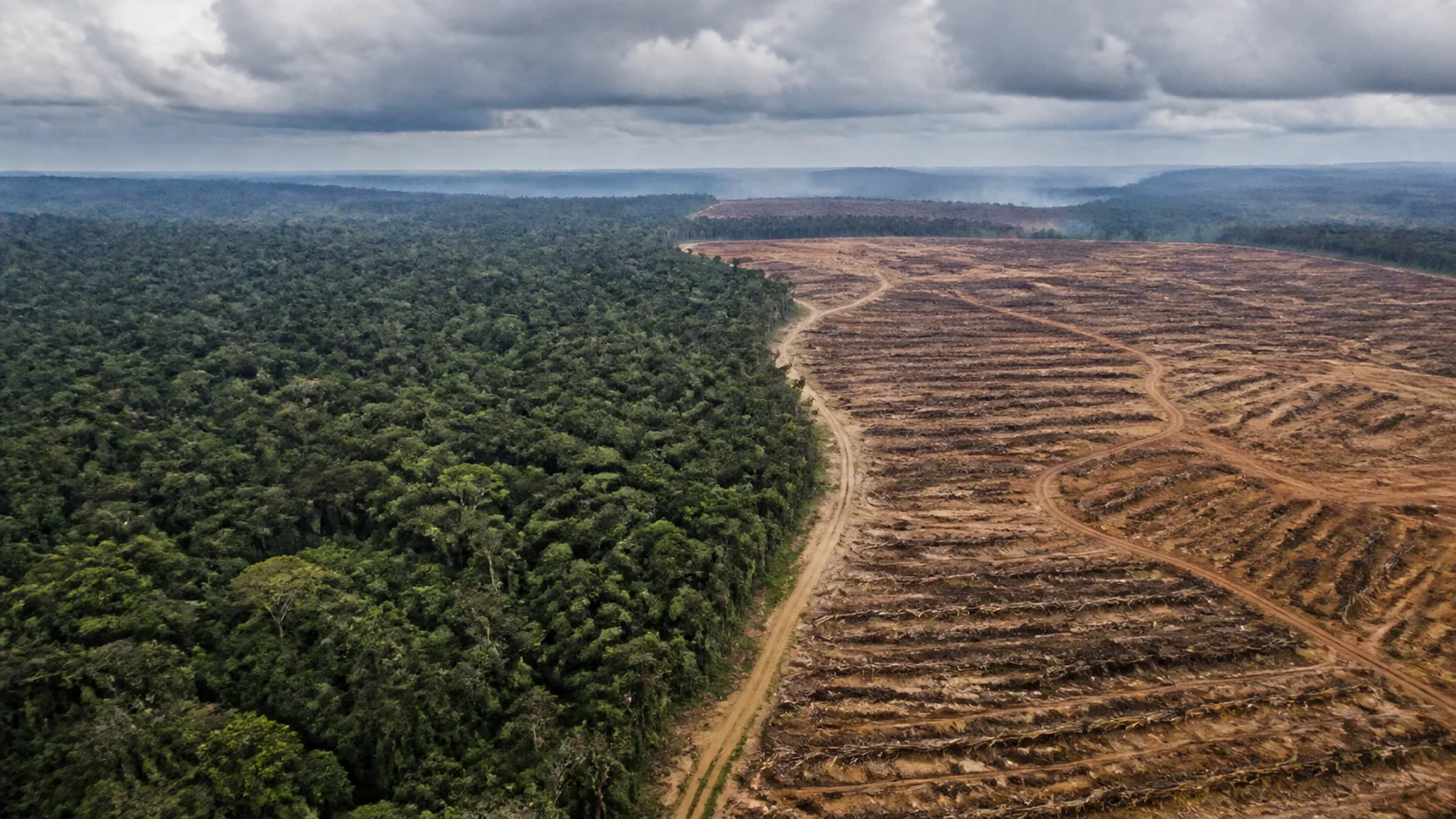 Colapso da máquina de chuva na Amazônia ameaça o equilíbrio climático da América do Sul