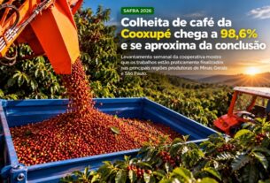 Colheita de café da Cooxupé atinge 98,6% e entra na reta final