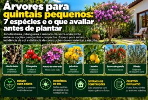 Como escolher árvores para quintais pequenos e evitar danos estruturais