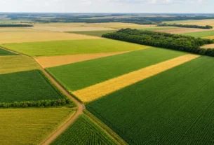 Conab prevê colheita histórica de 366,6 milhões de toneladas de grãos na safra 2026/27