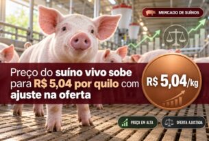 Cotação do suíno vivo avança para R$ 5,04 com impacto da oferta e demanda externa