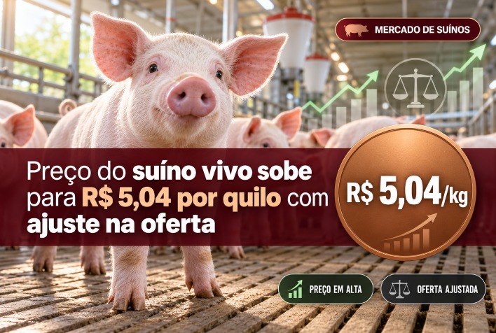 Cotação do suíno vivo avança para R$ 5,04 com impacto da oferta e demanda externa