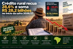 Crédito rural tem queda de 28,6% e totaliza R$ 28,2 bilhões no início da safra 2026/27