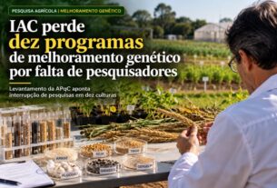 Crise no IAC: falta de pesquisadores interrompe programas genéticos